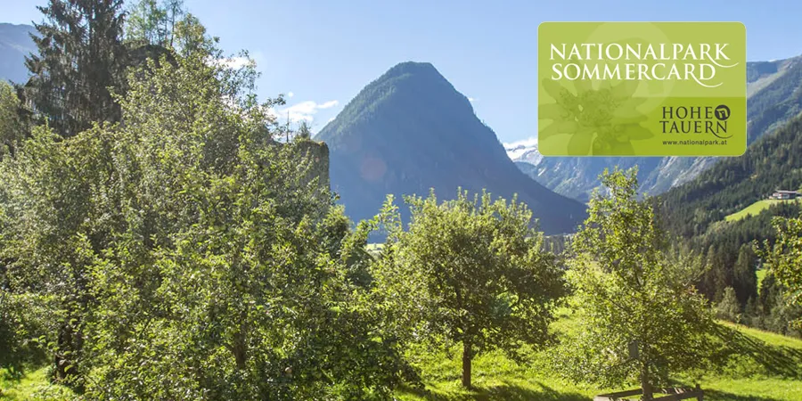 Nationalpark Sommercard header