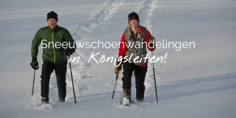 Sneeuwschoenwandelingen in Konigsleiten header NL