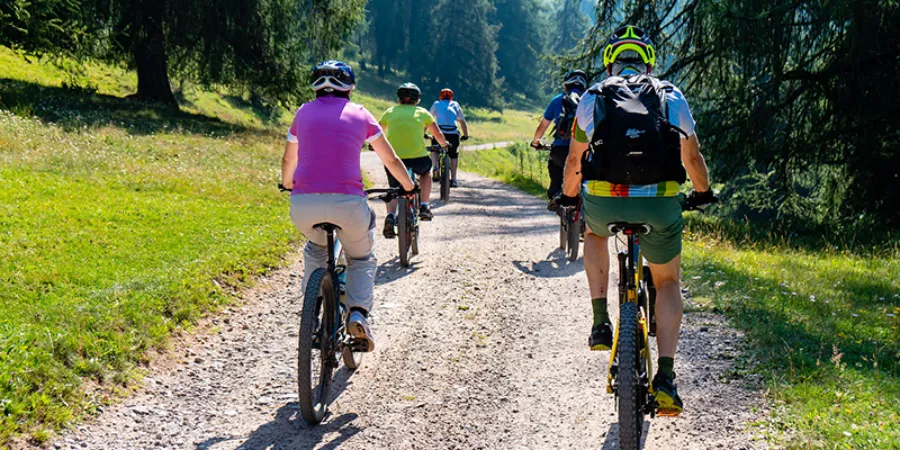 Verken Oostenrijk met de E bike chaletsplus