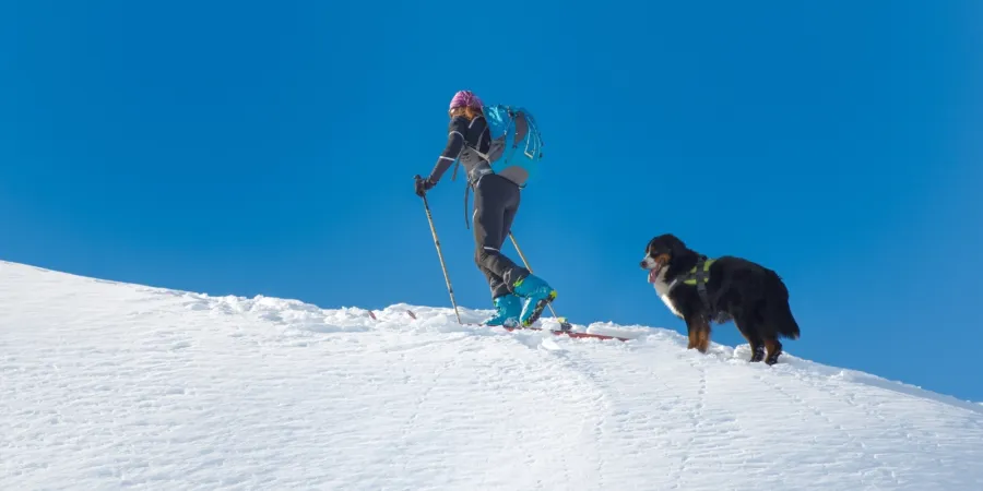 Op wintersportvakantie met je hond Foto 2