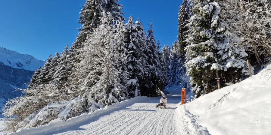 5 wintersportactiviteiten naast skiën Foto 1