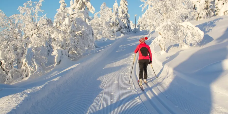 5 wintersportactiviteiten naast skiën Foto 2