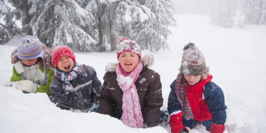 Leer de taal van de Alpen met 25 typische Oostenrijkse woorden Foto 2