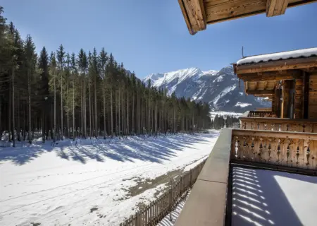NK Vorderkopf 601 balkon